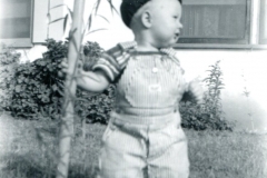 Portrait of the Artist as a Young Man